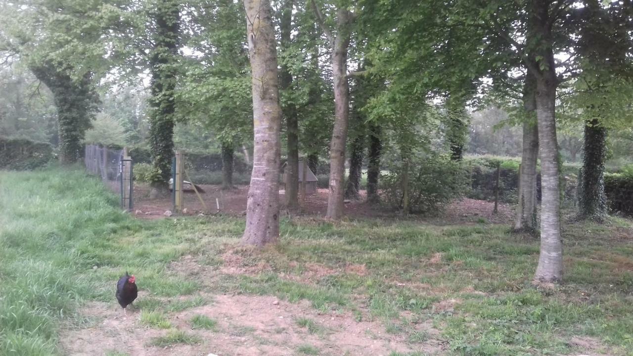 Hébergement de vacances La Tiny House De L'aa Bourthes